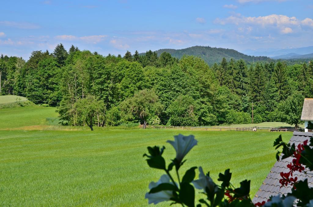 Ferienwohnung Annemarie Sankt Kanzian am Klopeiner See Szoba fotó